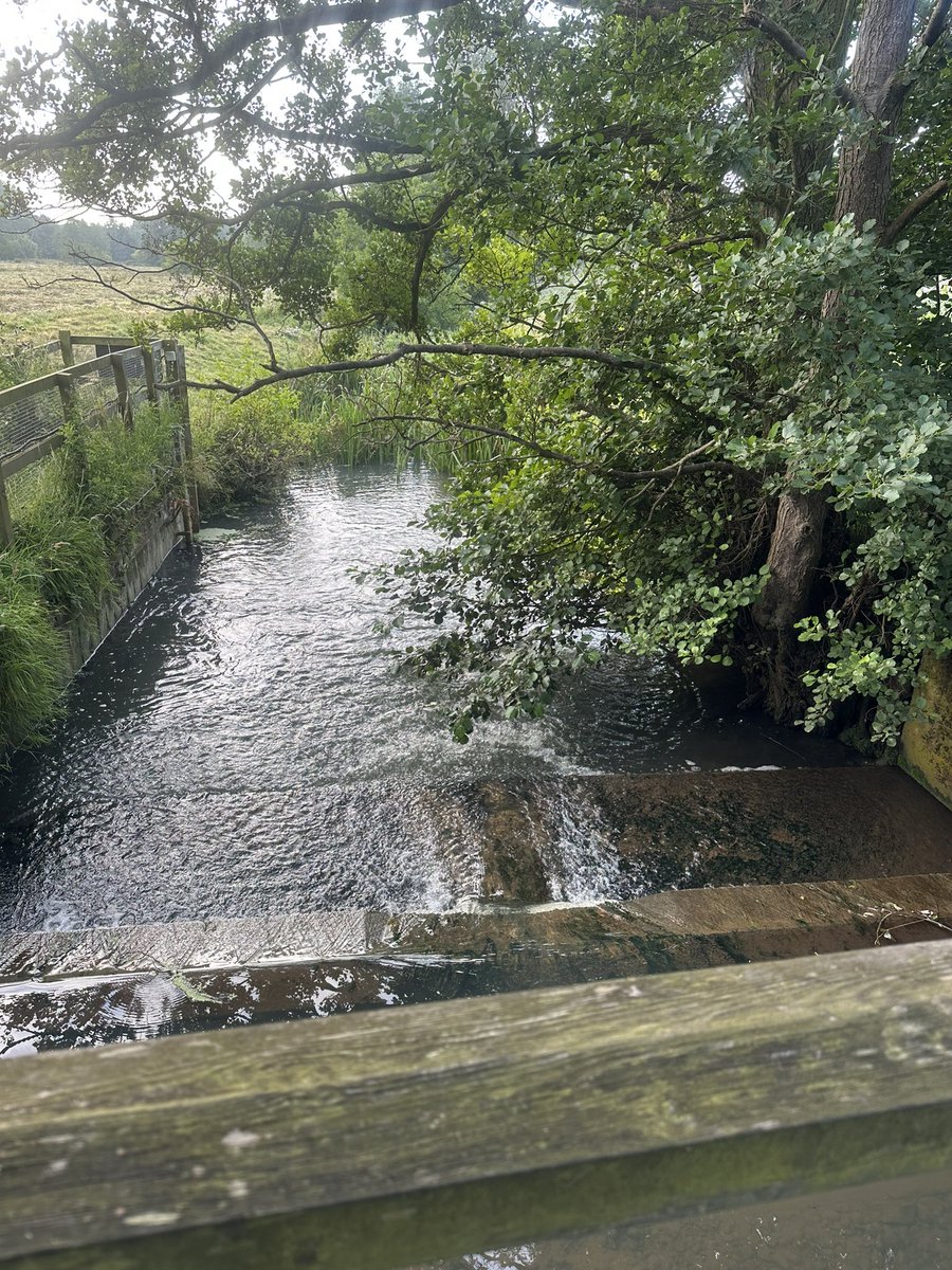 IanChappers's tweet image. 6.5km walk then coffee alfresco. Happy Thursday y’all