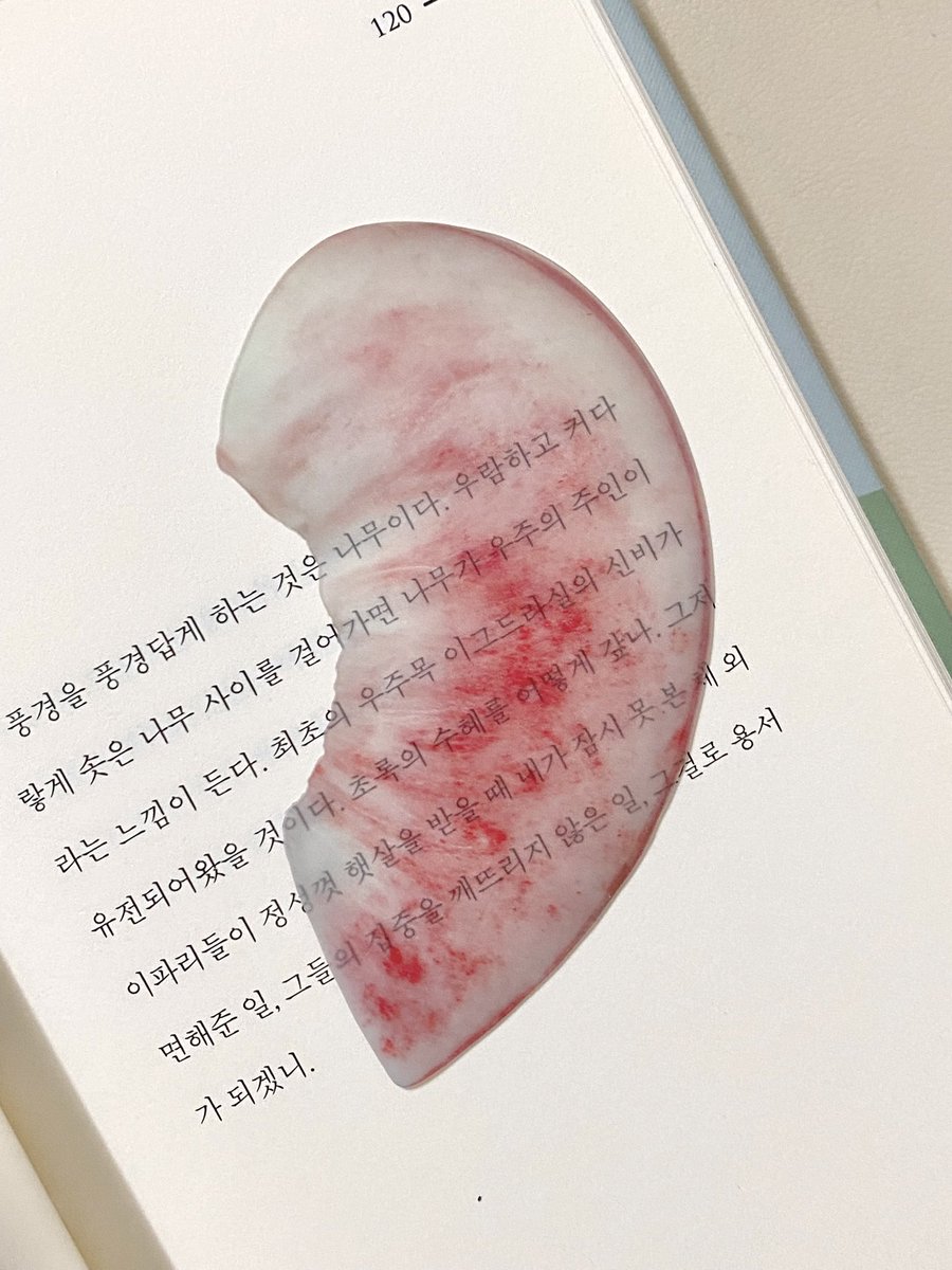 OKTO_LEE's tweet photo. 백��� 책갈피와 여름 https://t.co/79b9crslaT