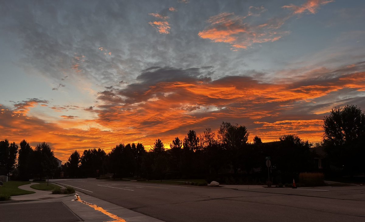 Dr. Lora de la Cruz tweet media