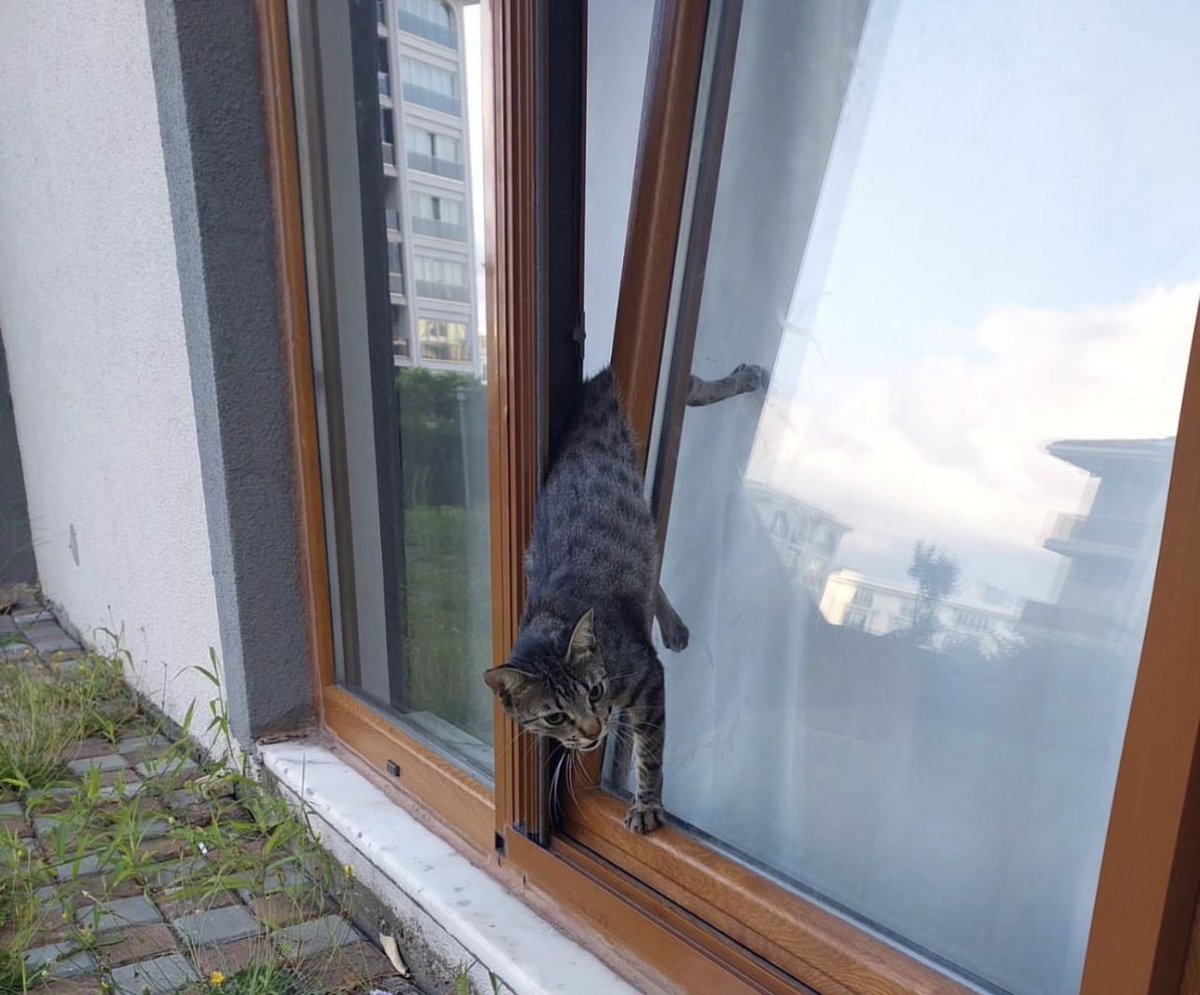 Lütfen ama lütfen vasistas pencerelerinize dikkat edin. Asla bu şekilde, "aman bir şey olmaz" diye açmayın. Sineklik taktırın!!Tam da bugün, önlemini almayıp "bir şey olmaz" dediğiniz için bu çocuk kurtarıldıktan 2 saat sonra  öldü