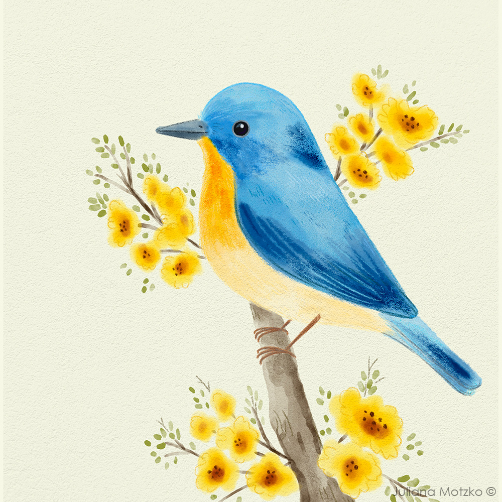 Tickell's Blue Flycatcher.

Design available in my stores. Link in Bio.

#birds #artlicensing #watercolor #cute #birdwatching #drawing #digitaldrawing #animal #childrenspublishing #animalillustration #childrenillustration #illustration #illustrator #artist #JulianaMotzko