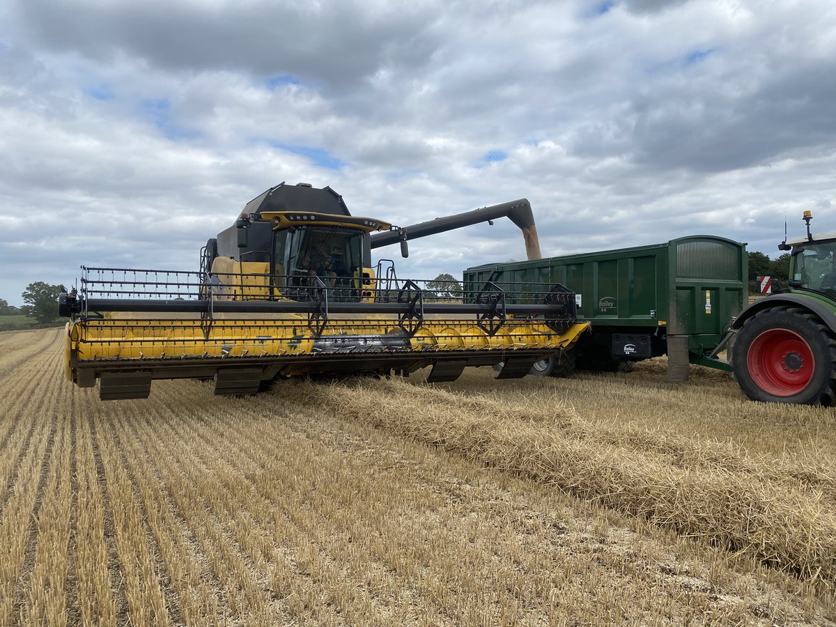peamanruss's tweet photo. @TomYoungs87 with a big smile on his face loving life in his combine and HapPea now to see the 🫛🫛🫛harvested. https://t.co/DLXHKpQ19u