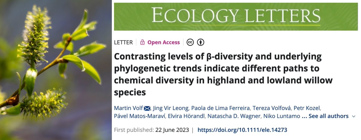 bright_giant's tweet photo. #UntargetedMetabolomics approach using #SIRIUS_MS #CSIFingerID & #CANOPUS_MS to investigate highland & lowland #willow species for different chemical profiles depending on their elevation level & evolutionary history. @simonsegar
More #SIRIUSScience news: https://t.co/gaodnF9mZP https://t.co/4rshbaqgEJ