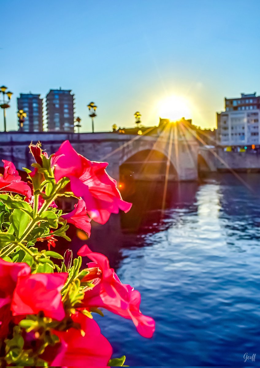 GeoffCphoto's tweet photo. Sunset over the Baudouin bridge and the Meuse river in Huy in Belgium

#Belgium #Belgique #huy #sunset #art #photography #photooftheday #PHOTOS #worldphoto #SUN #Meuse #River #photographer #artist #Flowers #flowerphotography https://t.co/TNgNQivsMb