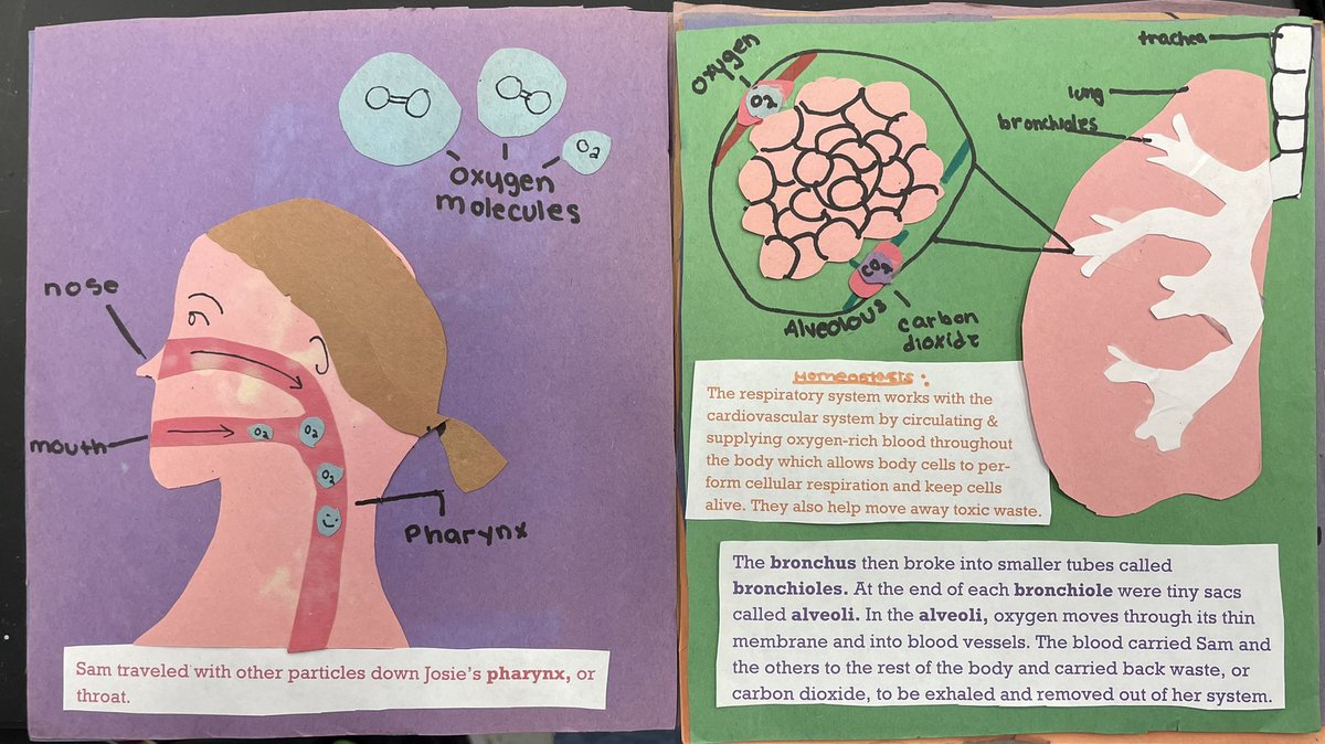 Gearyscience's tweet photo. Oops the first 4 pages didn’t seem to send? @_salmadrew https://t.co/XY8JxuWjfi