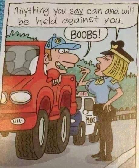 Silable's tweet photo. #dommeblondjesdonderdag https://t.co/jdiAi5QqpX