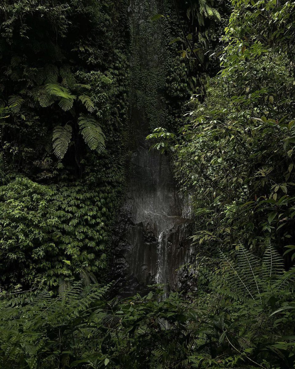 elemmiressoul's tweet image. dark green.