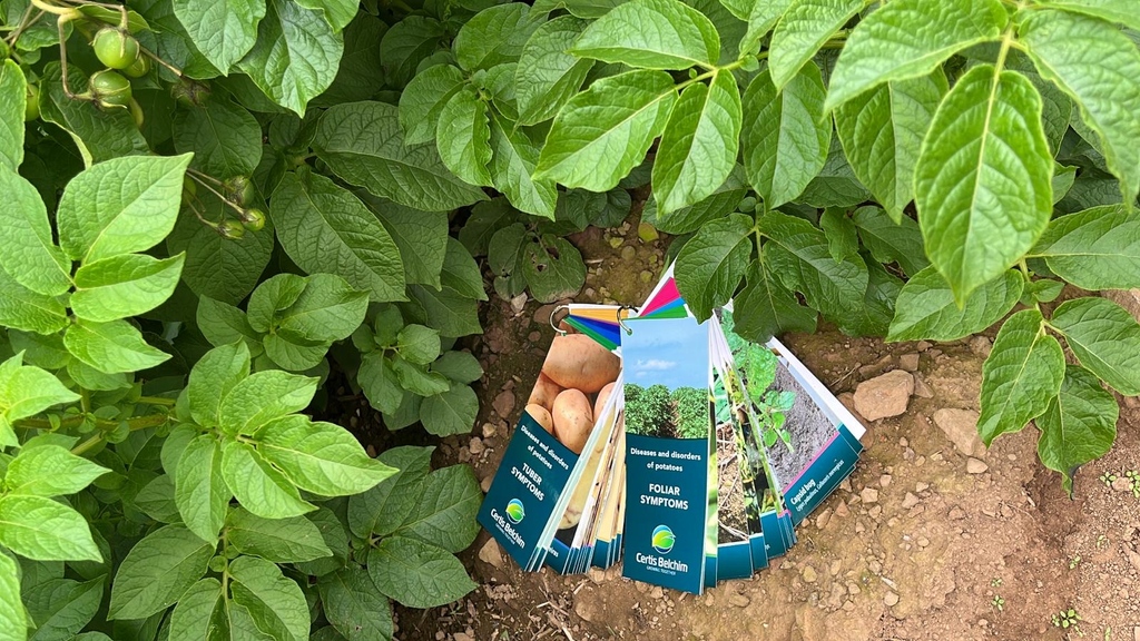 certis_belchim's tweet photo. Our new disease guide cards have been very popular at #PotatoesinPractice today ๐ฅ - if youโre interested in having a look and learning more please pop along to our stand. #PIP23 https://t.co/5d7fpNyBn2