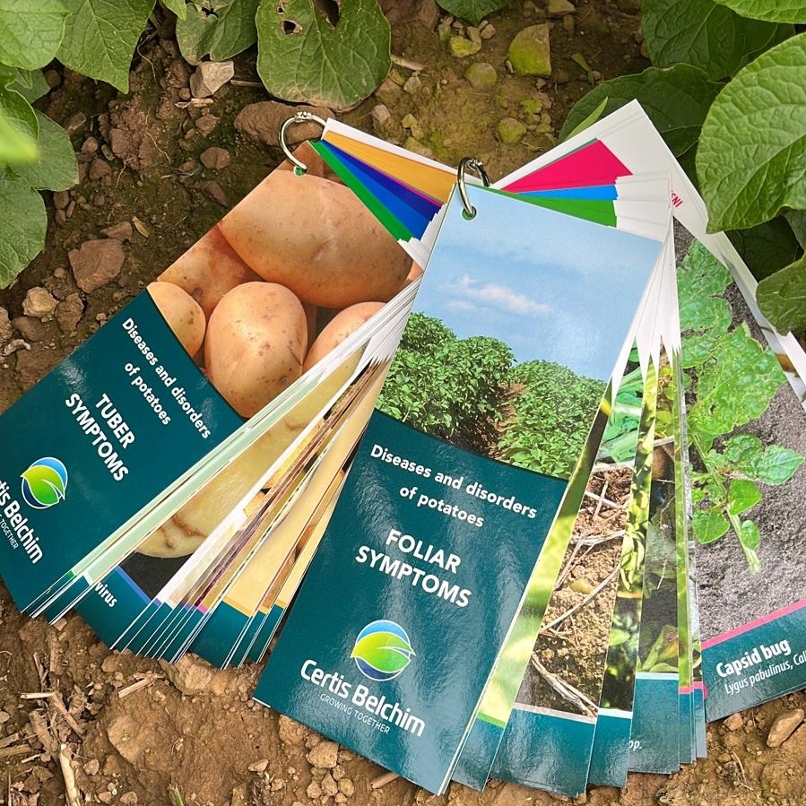 certis_belchim's tweet photo. Our new disease guide cards have been very popular at #PotatoesinPractice today ๐ฅ - if youโre interested in having a look and learning more please pop along to our stand. #PIP23 https://t.co/5d7fpNyBn2