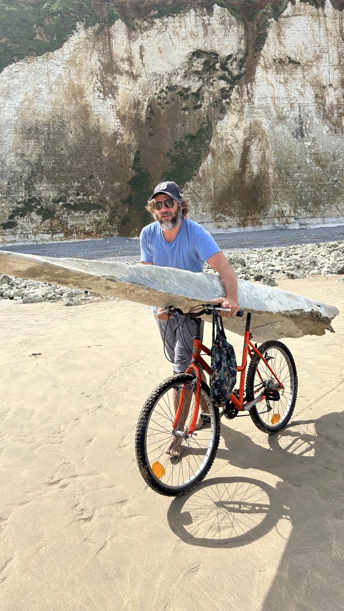 Aurélien Bellanger tweet media