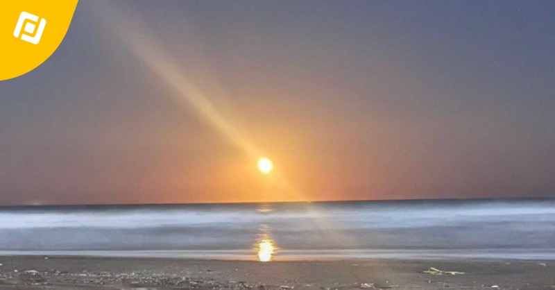 EsProfile's tweet photo. Sumérgete en un verano lleno de creatividad en Profile. ☀️ Esta temporada exploramos el mundo de las ilusiones visuales. Descubre las increíbles imágenes de nuestrxs talentosxs compañerxs, jugando con perspectivas, reflejos y sombras.🎨📸
#IlusionesDelVerano #ProfileSummer https://t.co/burHaQJ6wq