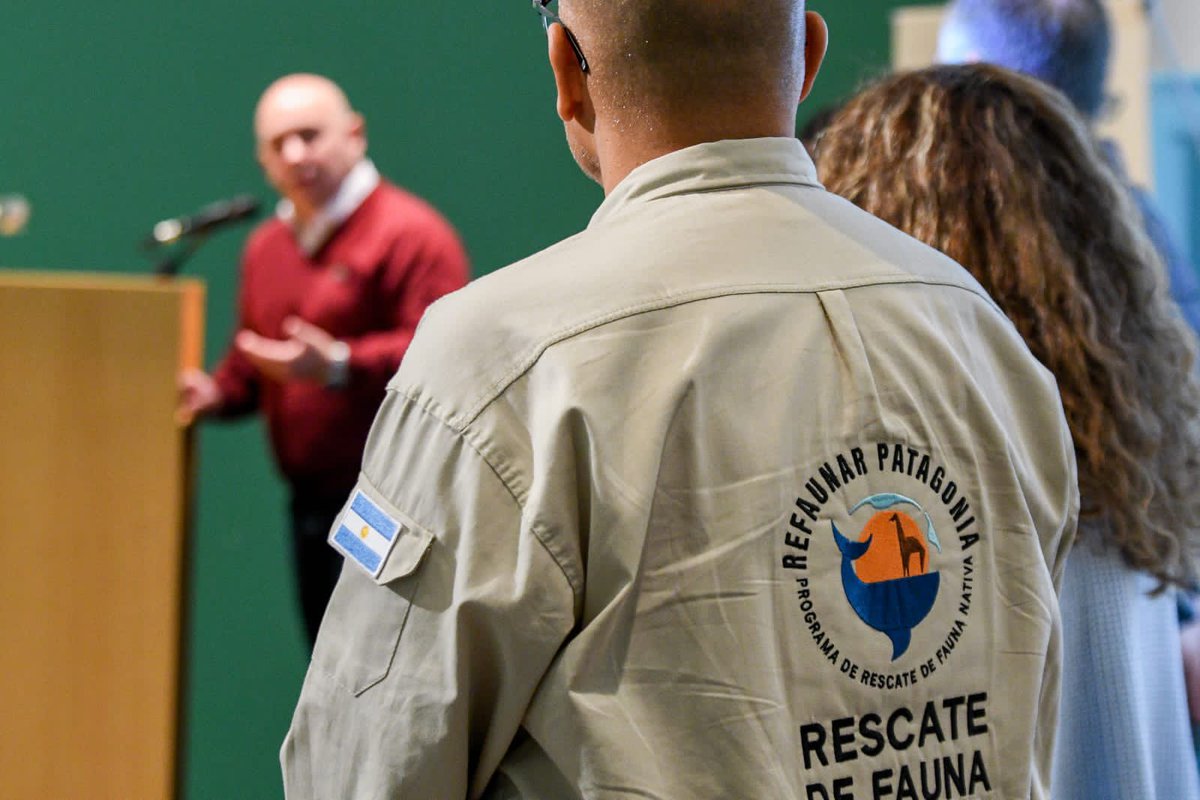 Gustavo Sastre tweet media