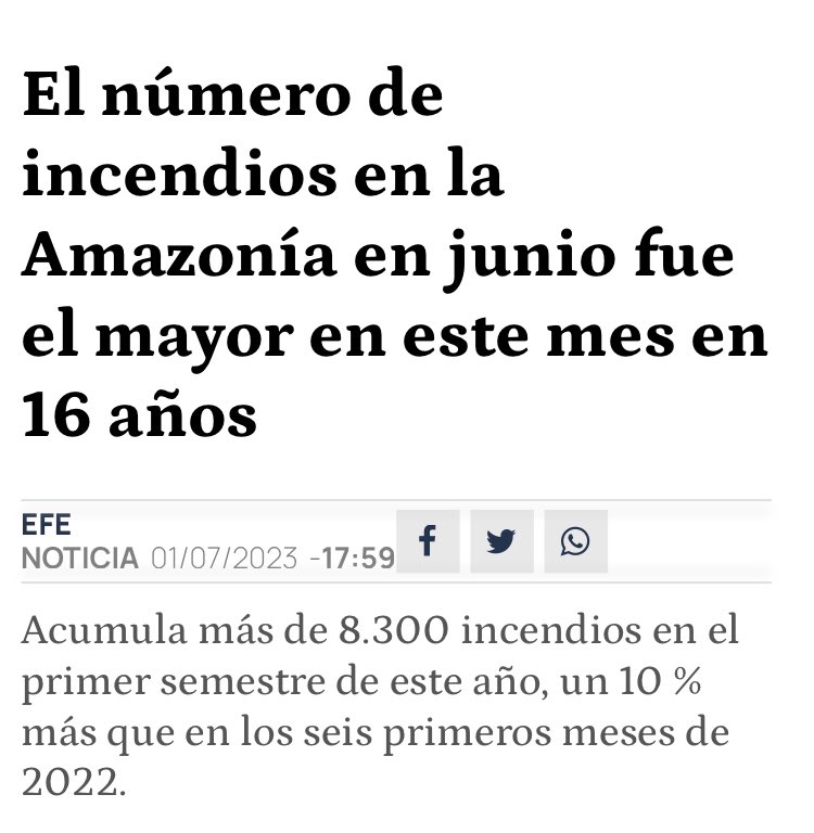 ¿Os acordáis aquel verano en el que cada día abrían los telediarios con Bolsonaro incendiando el Amazonas?