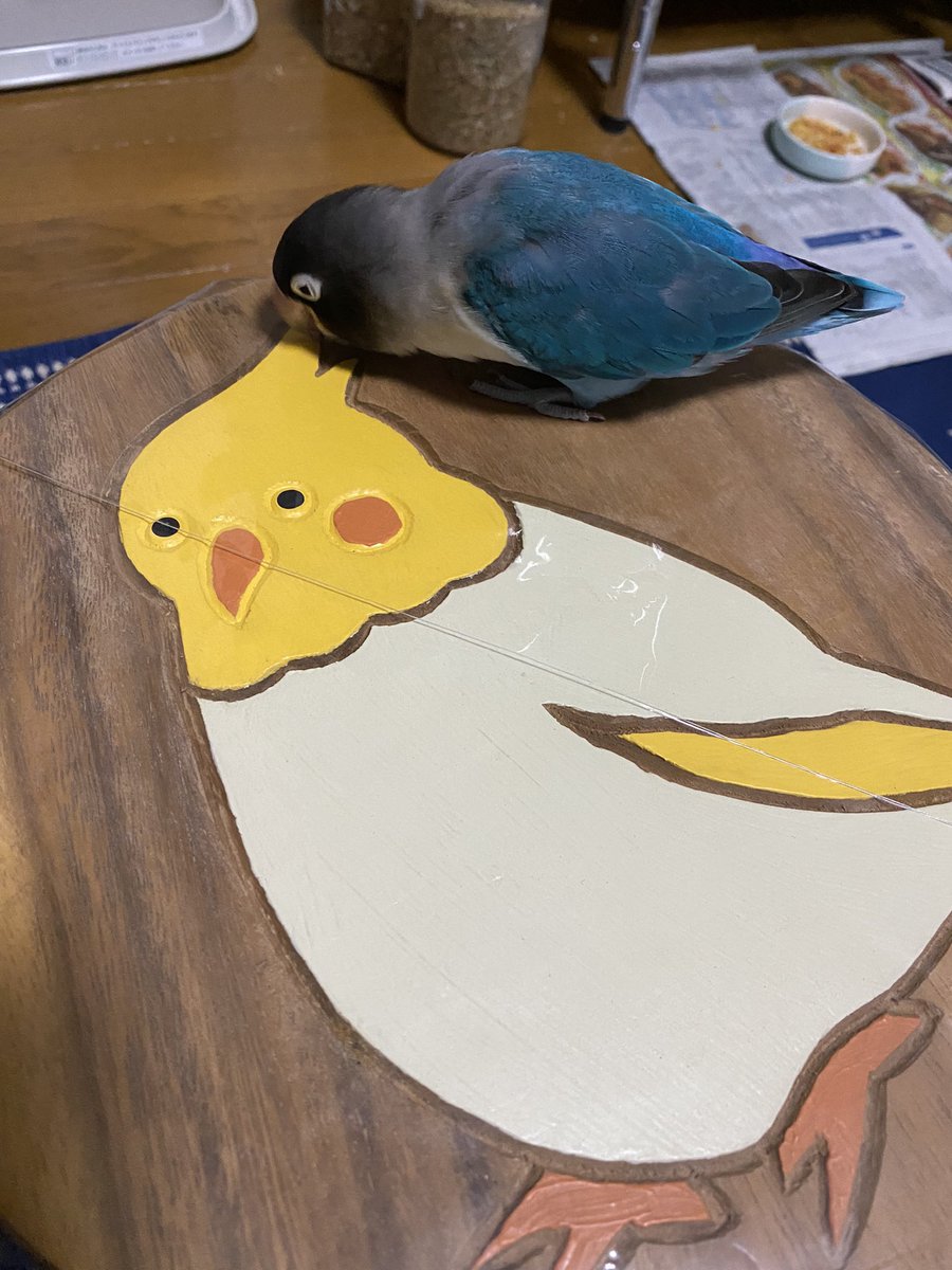 息子の彼女がプレゼントしてくれた、可愛いオカメインコがついた木製のイス🩷✨🩷✨🩷

ありがとう〜🤗🤗🤗
ポンちゃんに狙われないように、大事にするね💕︎