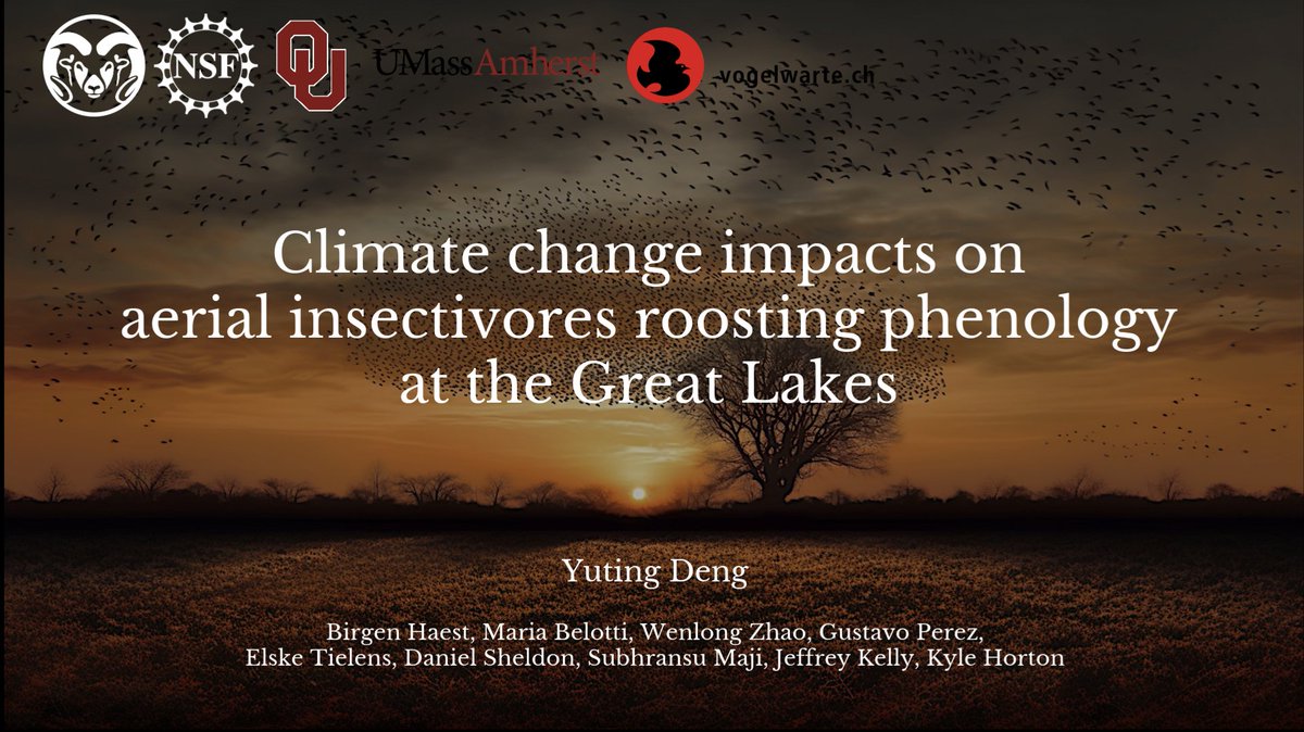 Yuting Deng tweet media