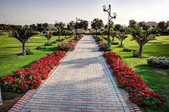 Shanukana's tweet image. Walkmining is my favorite app. It is very helpful for my  health. #WalkMining #M2E