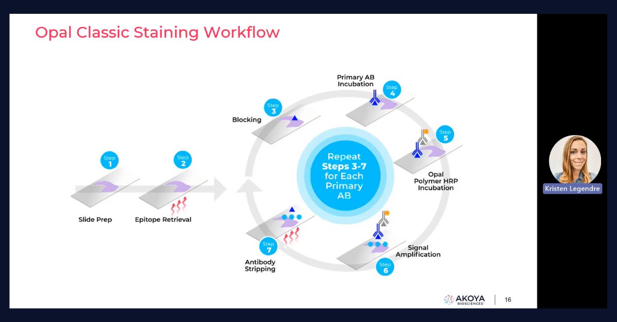 AkoyaBio's tweet photo. Watch our recorded webinar featuring Akoya Application Scientists as they present best practices for #multiplex #immunofluorescence assay development using Opal for high-sensitivity staining. https://t.co/cwv7l0Rayr

#spatialbiology #phenoimager https://t.co/rQbOiXueU2