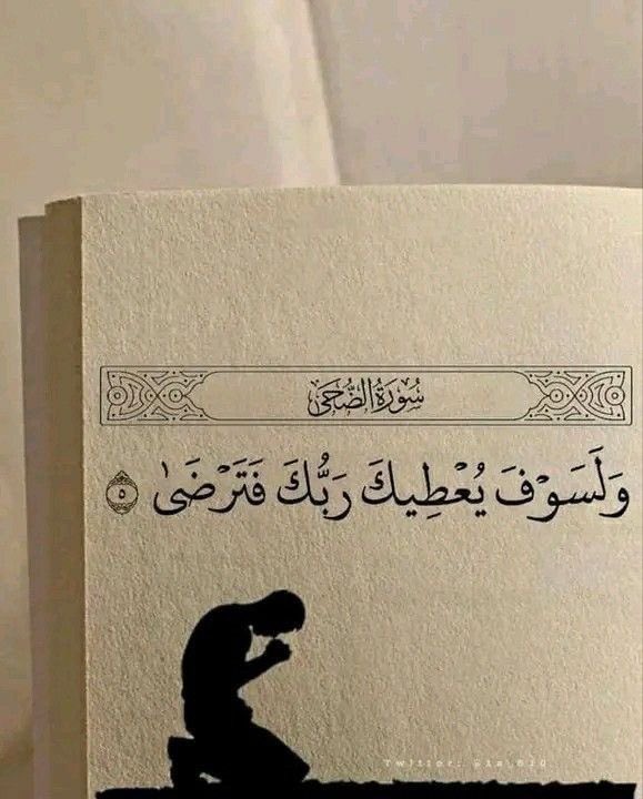 𓋹 🌌Moonista369 tweet media