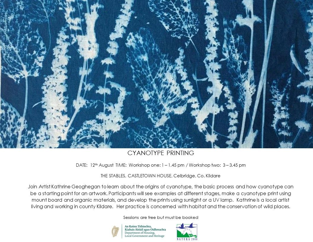 Castletown House tweet media