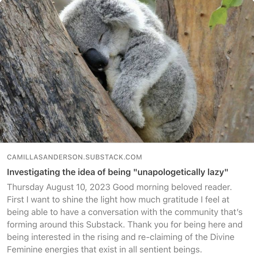 CSReadsWrites's tweet image. camillasanderson.substack.com/p/investigatin…