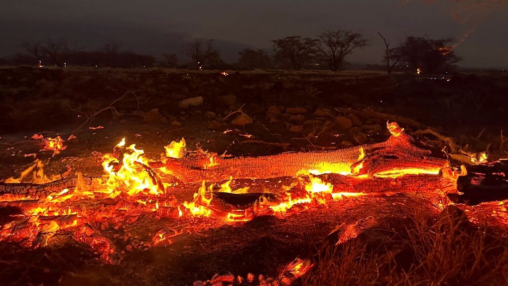 Wildfires tearing through parts of Hawaii have killed at least 36 people. Follow live updates ctvnews.ca/climate-and-en…