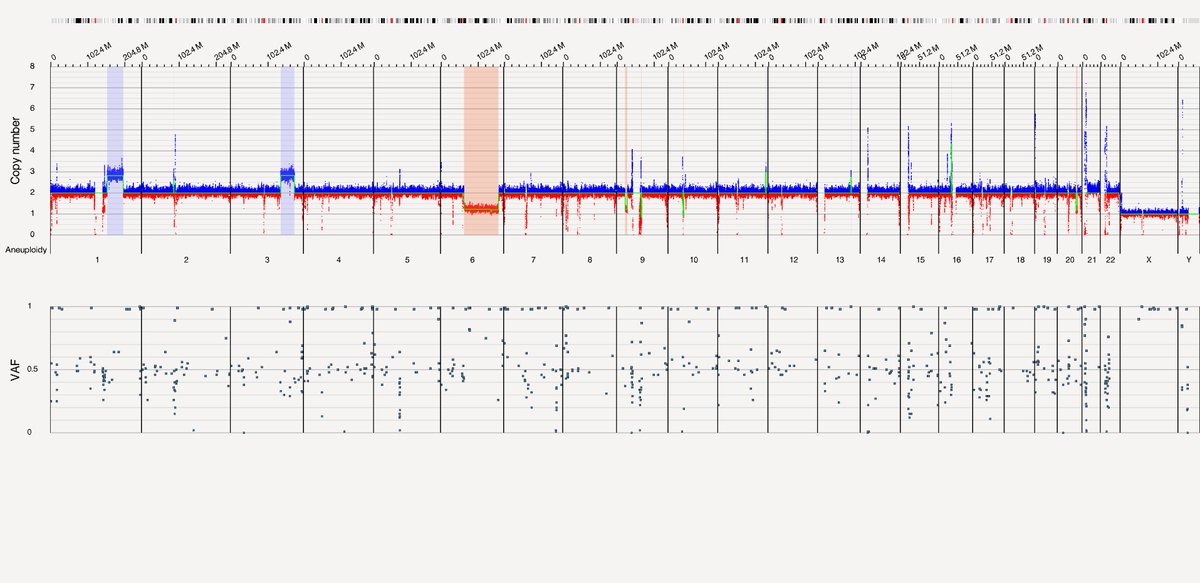 Marta Salido, PhD (@marta_msalido) on Twitter photo Deletion of CDKN2AB and MTAP genes due to three way translocation t(3;20;9) detected by Optical Genome Mapping in a relapsed follicular lymphoma #OGM #complexity Deletion of CDKN2AB and MTAP genes due to three way translocation t(3;20;9) detected by Optical Genome Mapping in a relapsed follicular lymphoma #OGM #complexity