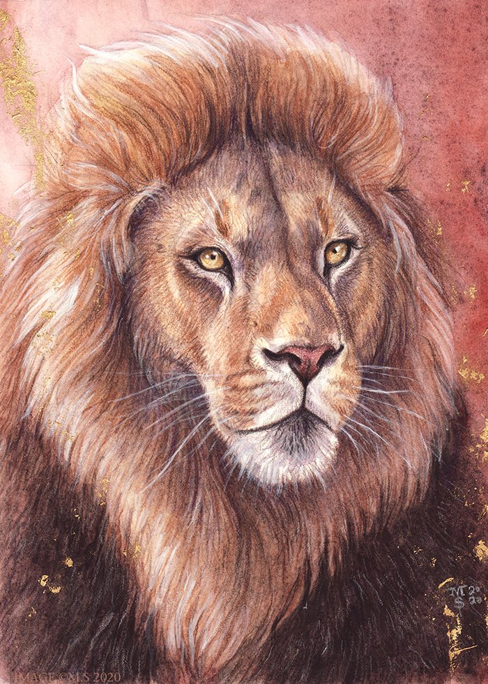 Happy #worldlionday ! 🦁♌

Watercolour, coloured pencil, gold leaf on arches satin finish paper.