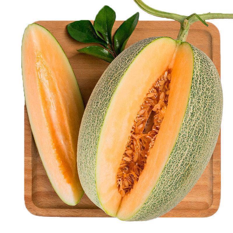 Homystar2's tweet photo. Enjoy the juicy goodness of our freshly harvested Cantaloupes! 🍈🌟 Indulge in this summer delight that will surely refresh your taste buds. Order now at Homystar Fruit Industry and experience the perfect combination of quality and flavor. 👌
https://t.co/UtUorAO4vo
 #Cantaloupe https://t.co/BNMrJ9021g