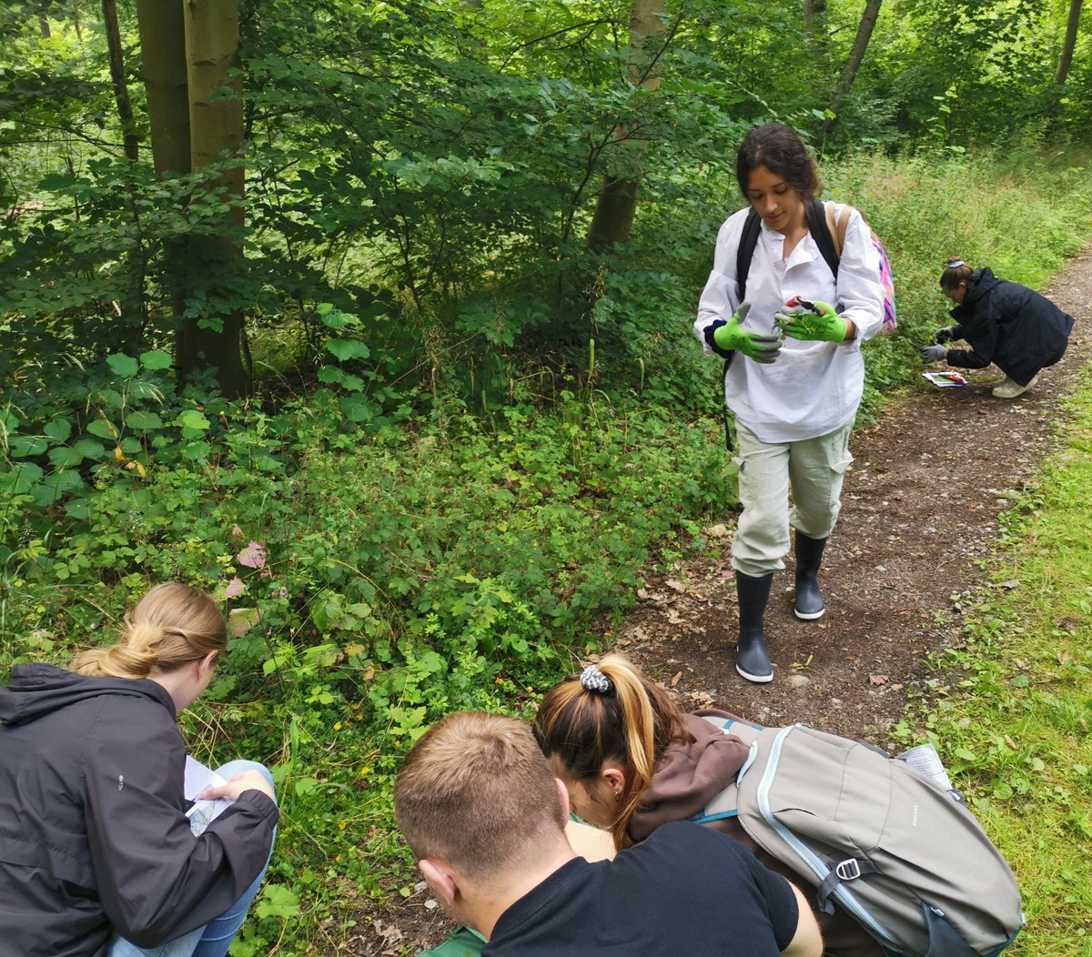 fab_ethnopharm's tweet photo. Lots of work happening in the local forest. Students of the Ethnopharmacology &amp; #Zoopharmacognosy Research Group  recently collected new samples of plant species used for treatment of wounds and inflammatory diseases in medieval and early modern Germany. #INPST #ethnopharmacology https://t.co/9MrytrcHB9