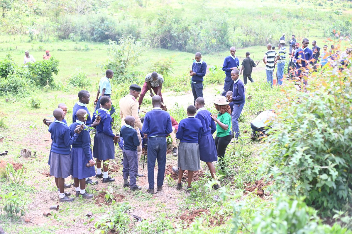 SenatorCheptoo🇰🇪 tweet media