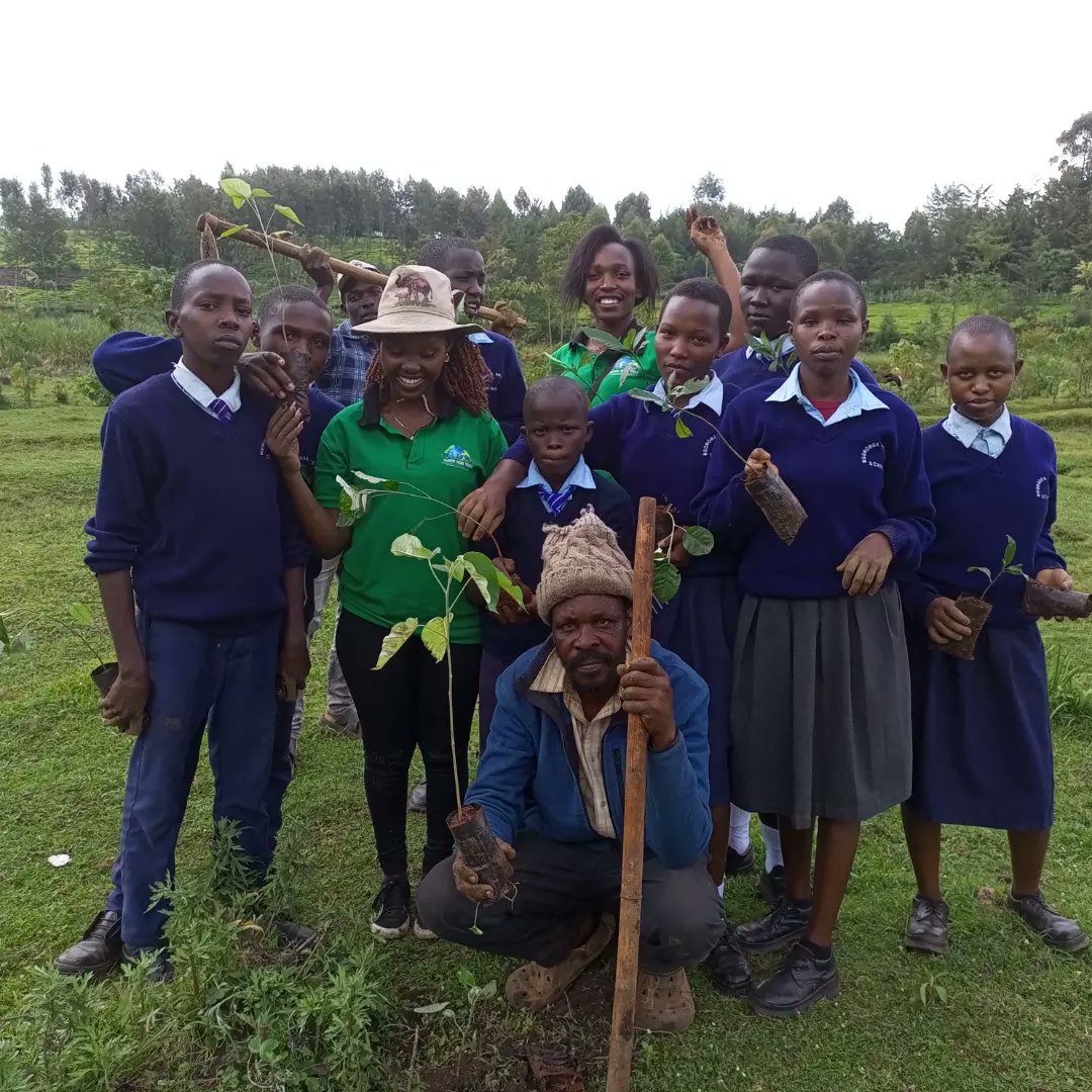 SenatorCheptoo🇰🇪 tweet media