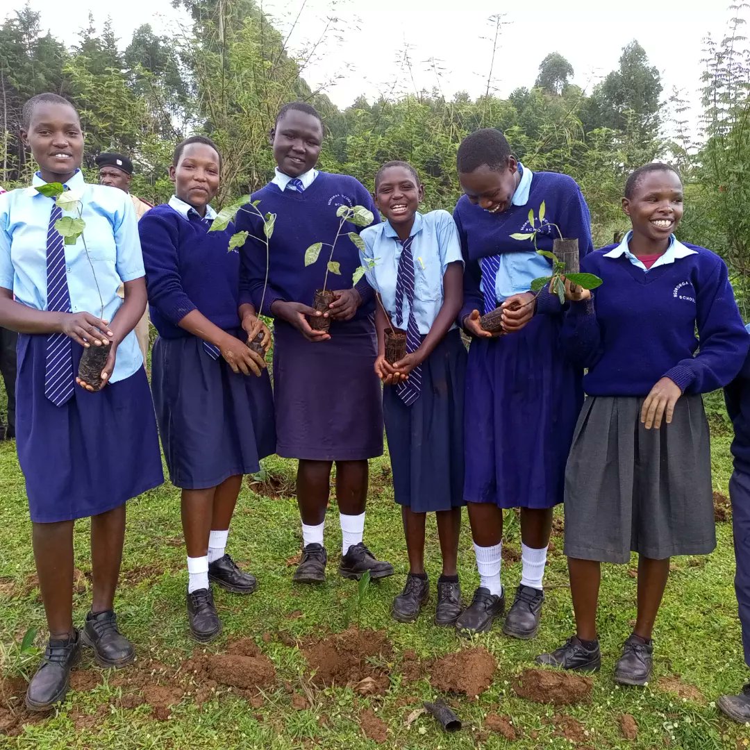 SenatorCheptoo🇰🇪 tweet media