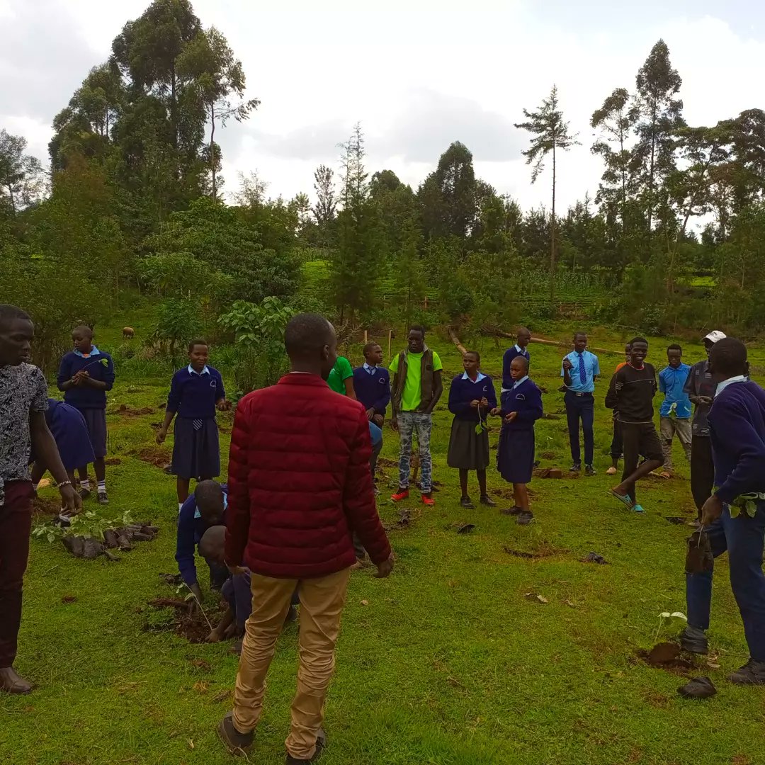 SenatorCheptoo🇰🇪 tweet media