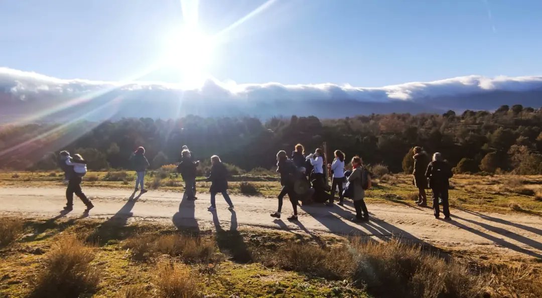 Queréis disfrutar andando  viendo y conociendo?