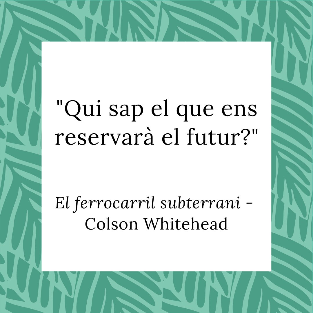 citesdellibres's tweet photo. "Qui sap el que ens reservarà el futur?"

El ferrocarril subterrani de Colson Whitehead.

Periscopi, 2017.

Traducció d'Albert Torrescasana.

@Ed_Periscopi @colsonwhitehead #elferrocarrilsubterrani #cites #llibres #futur #incert #narrativa https://t.co/qdQXKUYGnf