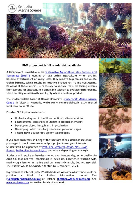 EuroMarine OYSTER tweet media