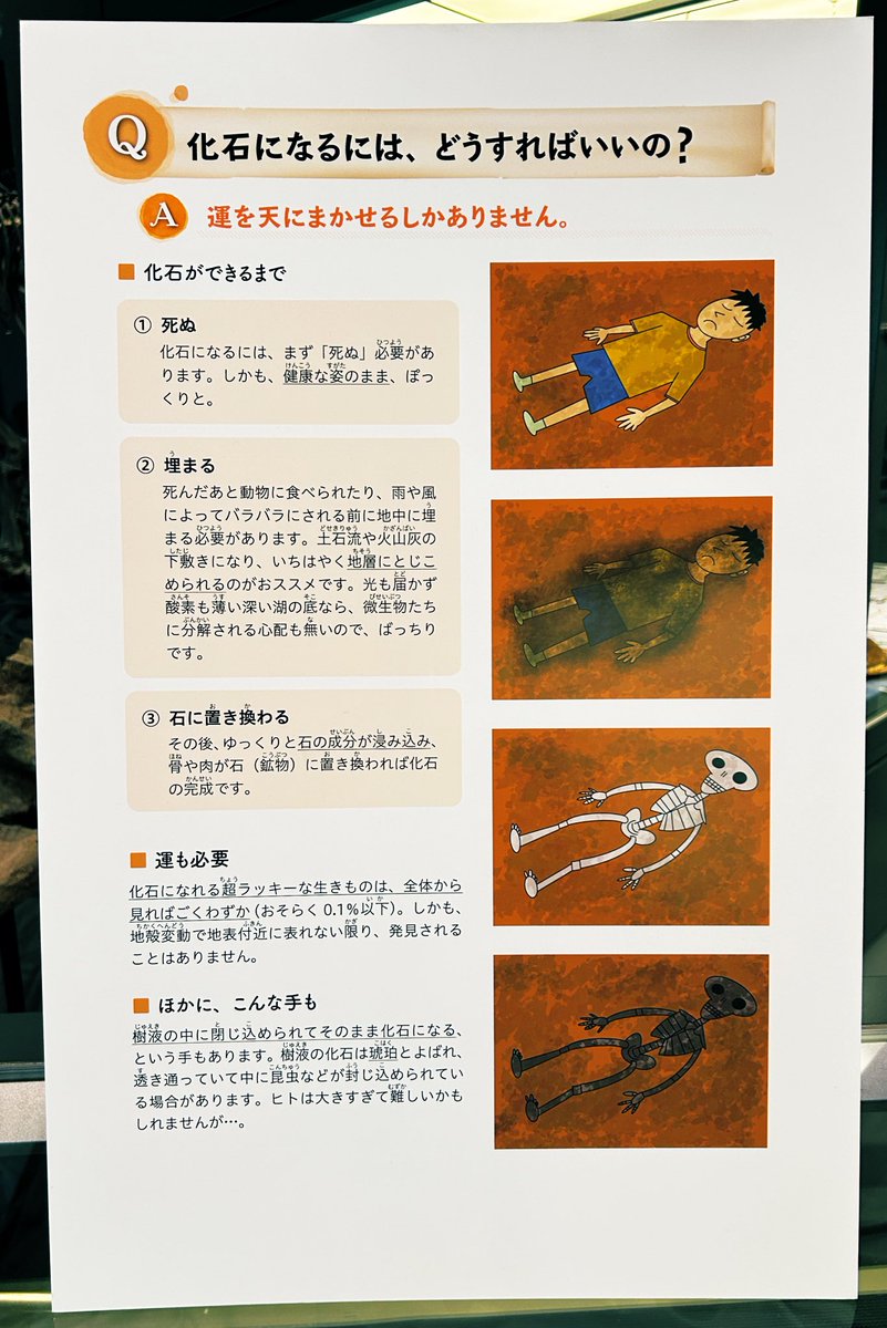 郡司芽久（キリン研究者） tweet media