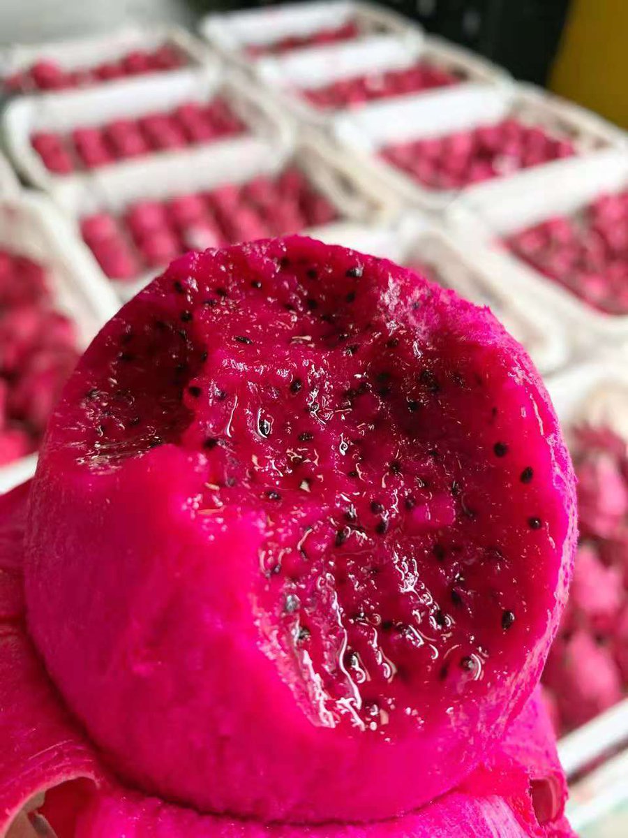 Homystar2's tweet photo. Looking for a tropical treat? Discover the exotic taste of our #DragonFruits! 🐉🌟 Cultivated in our orchard bases, these vibrant fruits are known for their unique appearance and refreshing flavor. Packed with essential nutrients and antioxidants
https://t.co/WI7yU031io https://t.co/Az0DZxM14r