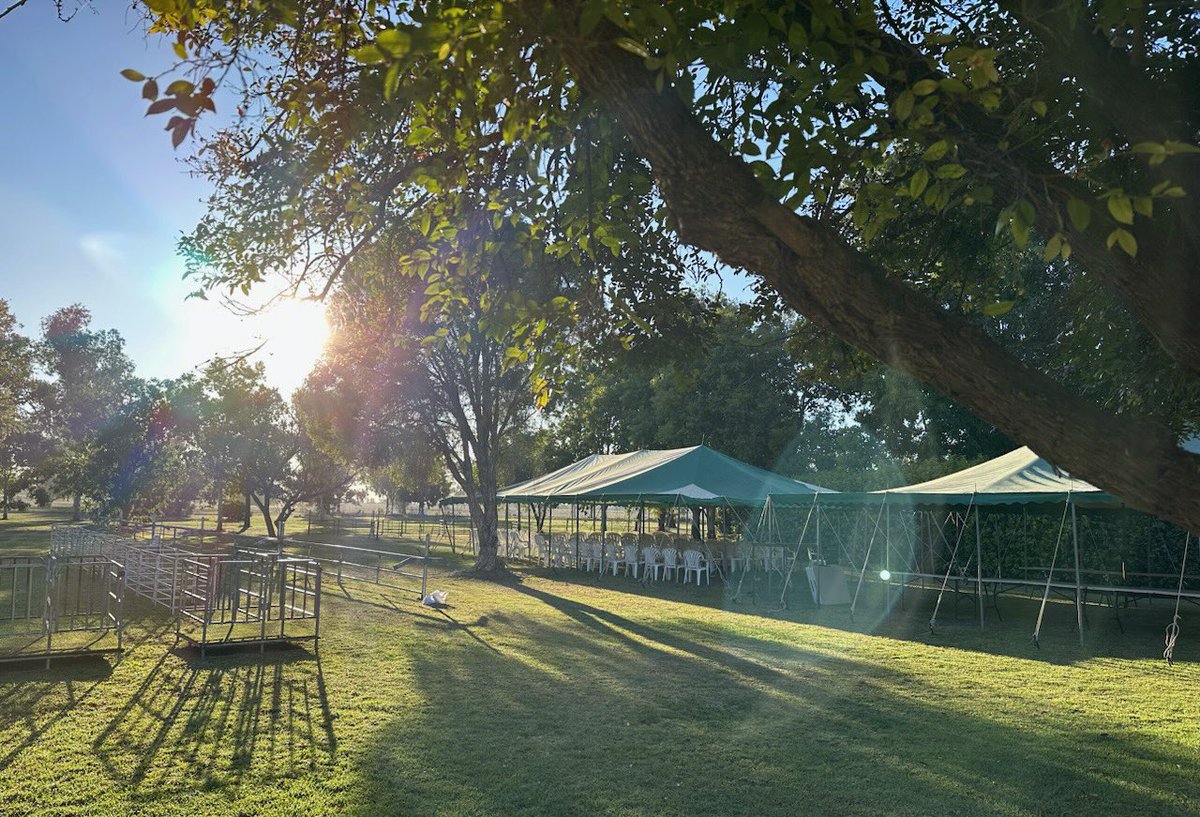 haddonrigstud tweet media