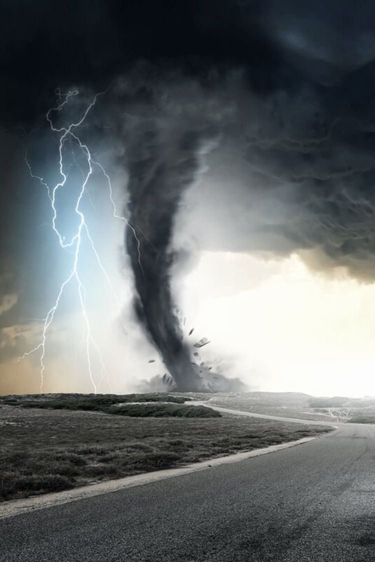 بيرل tweet media