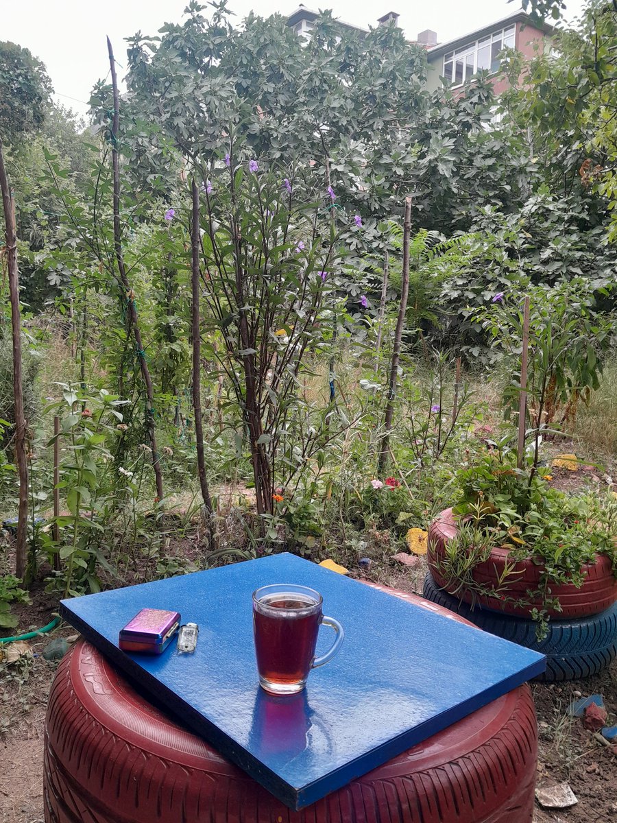 Kim derki bu bahçe yazlık değil, ama aslında güzellik salonumuzun bahçesi..🪻🌷☕️