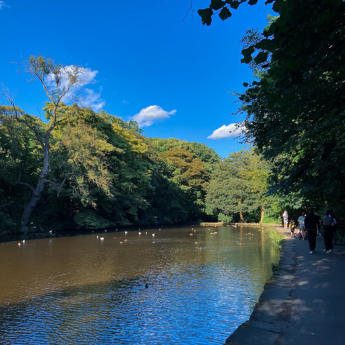 SheffieldAlumni's tweet photo. We know you miss those walks at #Endcliffe Park 🌱 😉
#sheffieldalumni #Sheffield #park #walk https://t.co/IYCNXZ6JAR