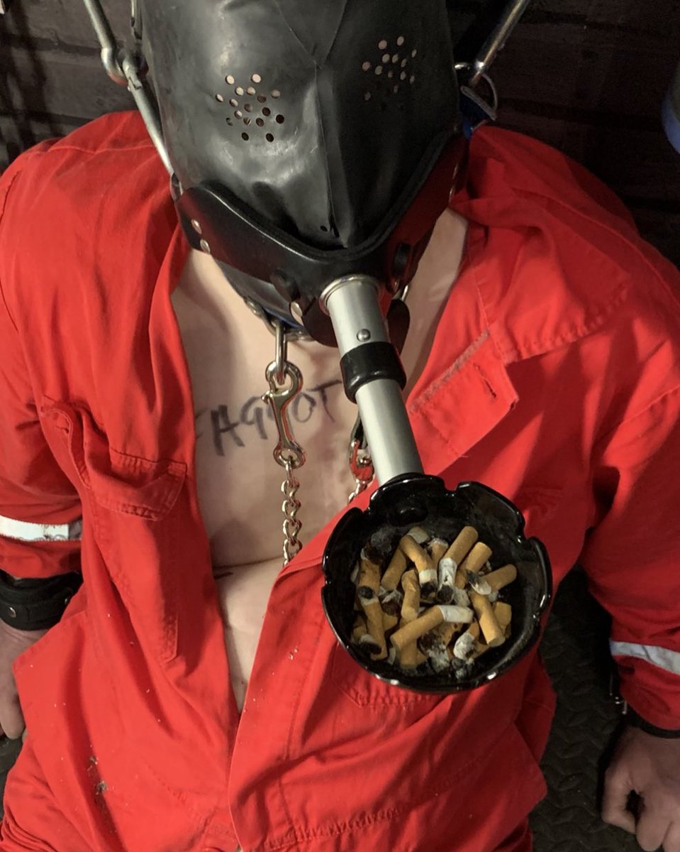 MasterScott tweet media