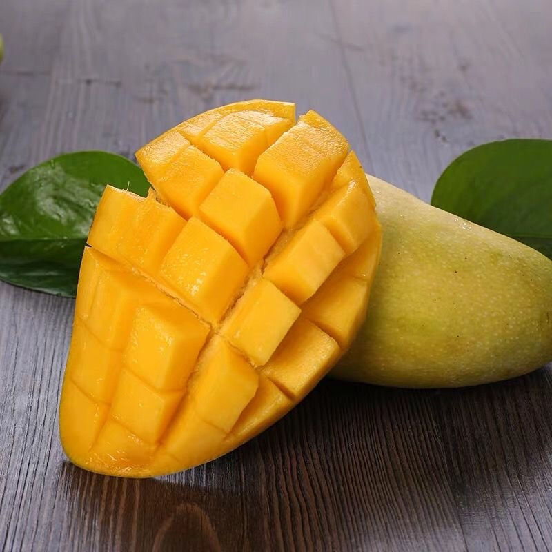 Homystar2's tweet photo. Immerse yourself in the tropical allure of our mouthwatering Mangoes! 🥭🌟 Known for their exceptional taste and rich aroma, they are a perfect addition to smoothies, salads, or simply enjoyed on their own. 🌴🥭
https://t.co/WI7yU02tsQ
#MangoMania #HomystarFruitIndustry https://t.co/oxRRjNDoKV