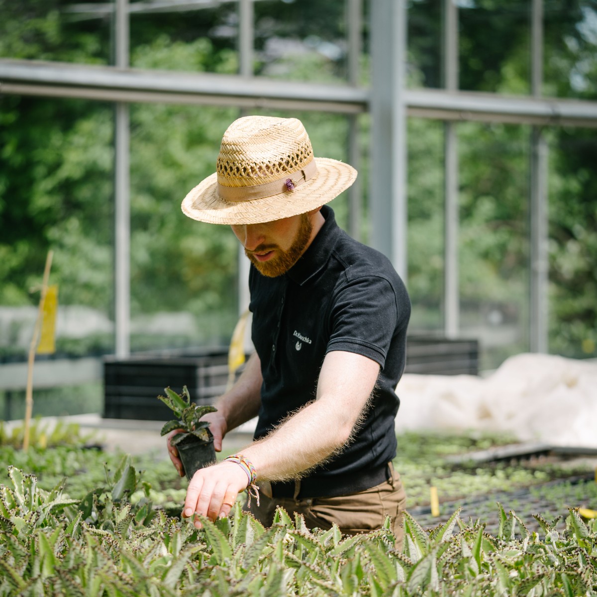 A view from our biodynamic garden - 

It is home to over 150 species of medicinal plants, which thrive in our haven of biodiversity. 

During summer months it is a true oasis, our coneflowers, lavender and marigolds add splashes of colour throughout the garden.