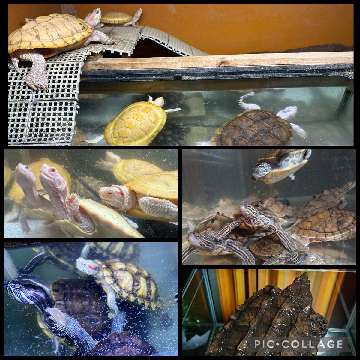 /AILEEN@あいりん（21） tweet media