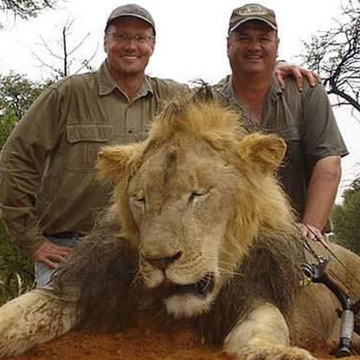 #WorldLionDay2023 

“How can anyone enjoy shooting a Lion? Where does that urge and pleasure in ending the life of a big cat come from? I've never understood it. #EndTrophyHunting!” ~ @RickyGervais.