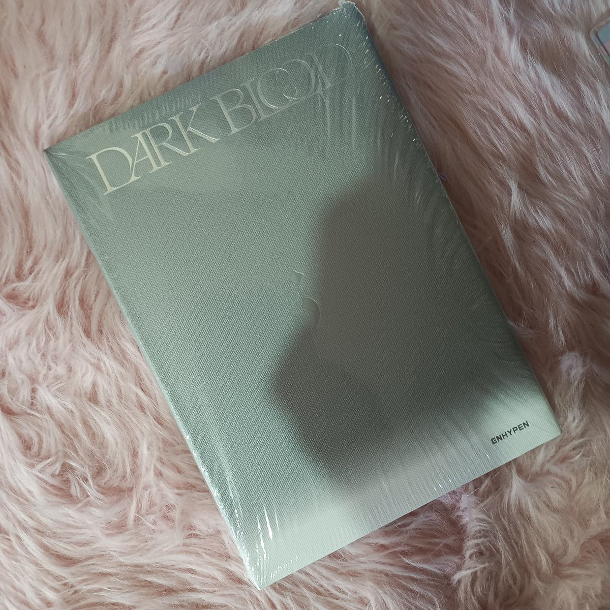 _itsmekate2's tweet photo. GIVEAWAY ALERT!!!

1 winner of SUNOO sealed engene ver album

— mbf, rt &amp; like
— show proof
— ends : tba

GOOD LUCK EVERYONE!! https://t.co/uVMhRX1wnX