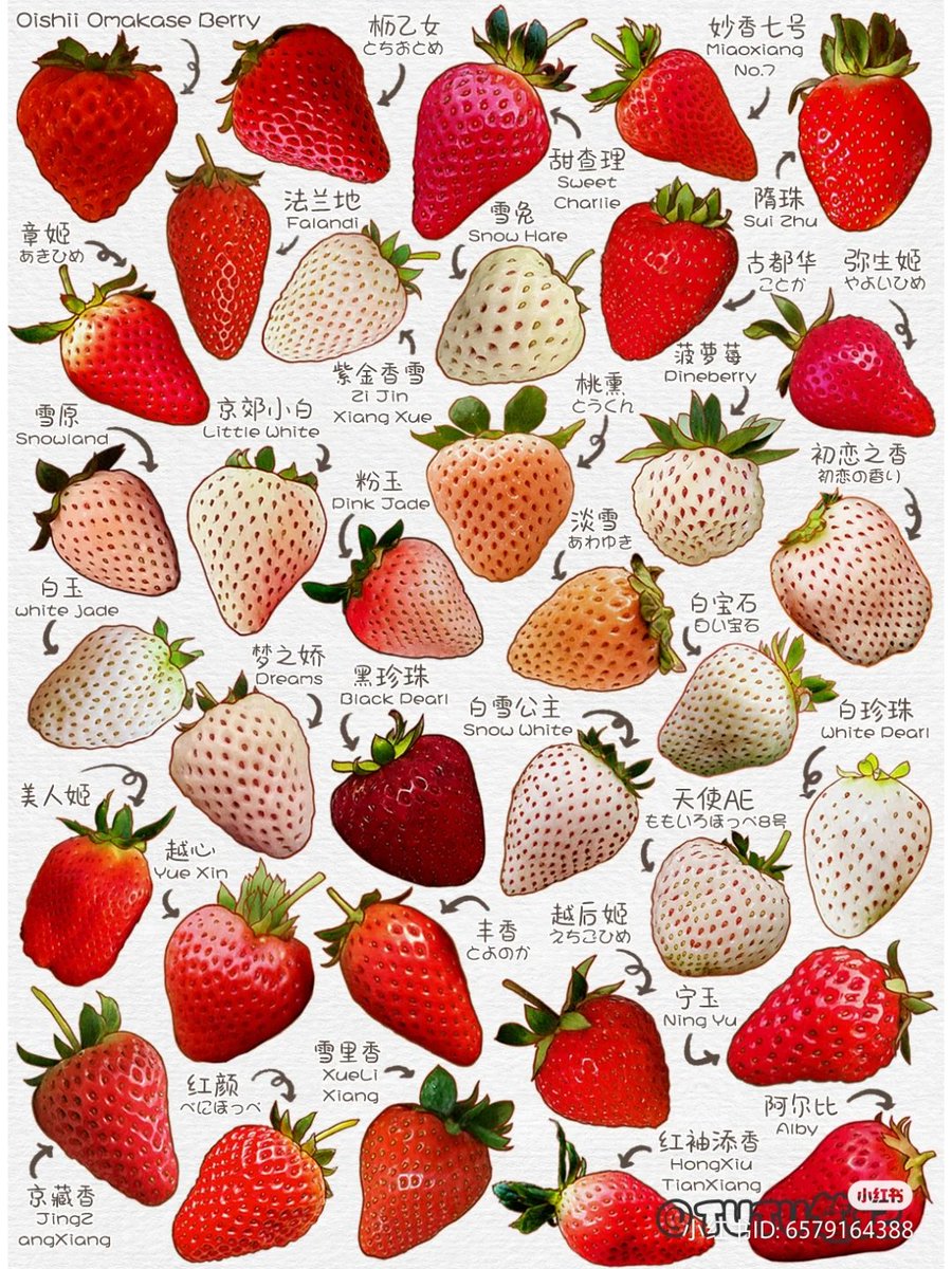 lovesickdoe's tweet photo. strawberries https://t.co/uttzvt391W