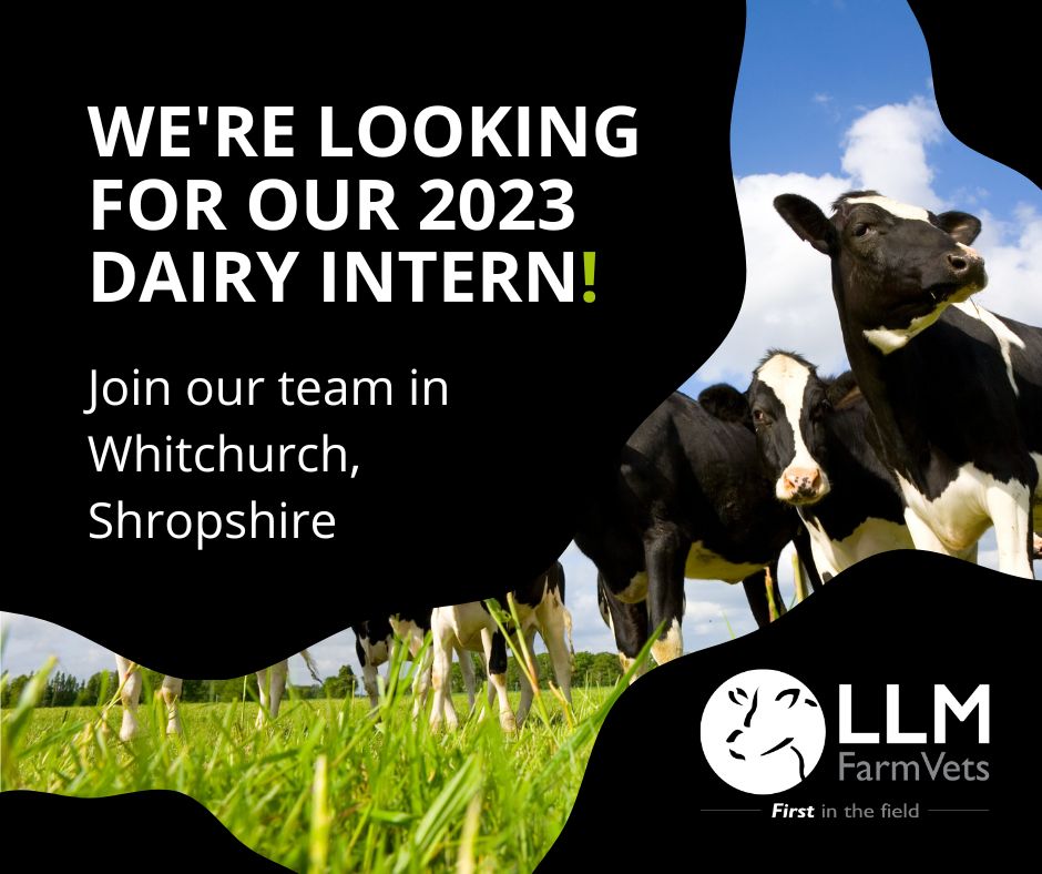 We’re on the lookout for a vet to join our Whitchurch team as our 2023 Dairy Intern!
We’ve been running the internship for over 10 years, and it’s proven to be a great step into progressive farm vetting.  Please visit our website for more information and to apply.